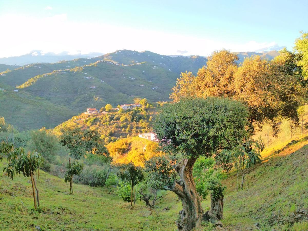 Villa Las Encinas Costa Del Sol Torrox Exteriör bild
