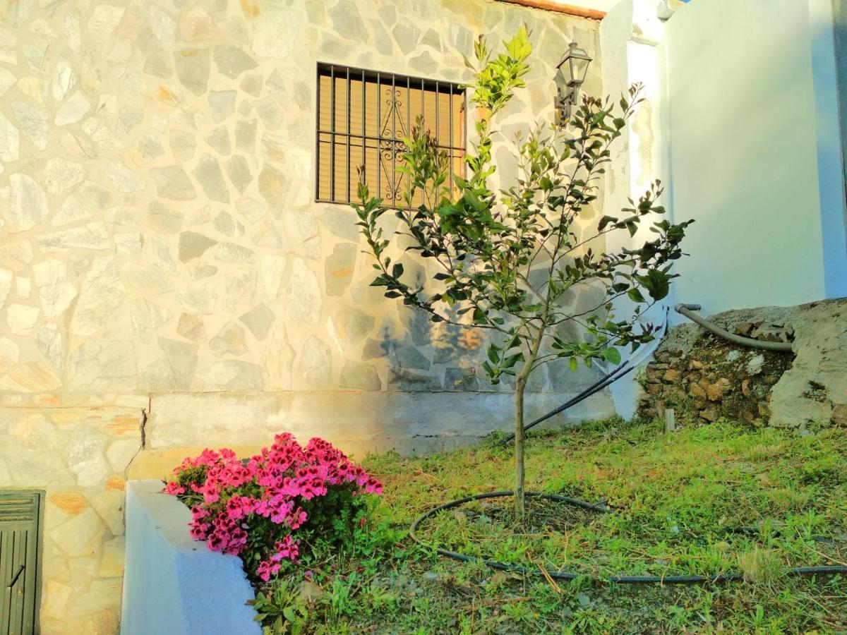 Villa Las Encinas Costa Del Sol Torrox Exteriör bild