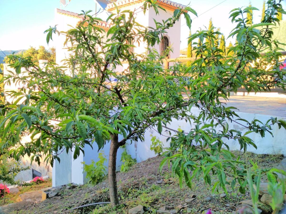 Villa Las Encinas Costa Del Sol Torrox Exteriör bild