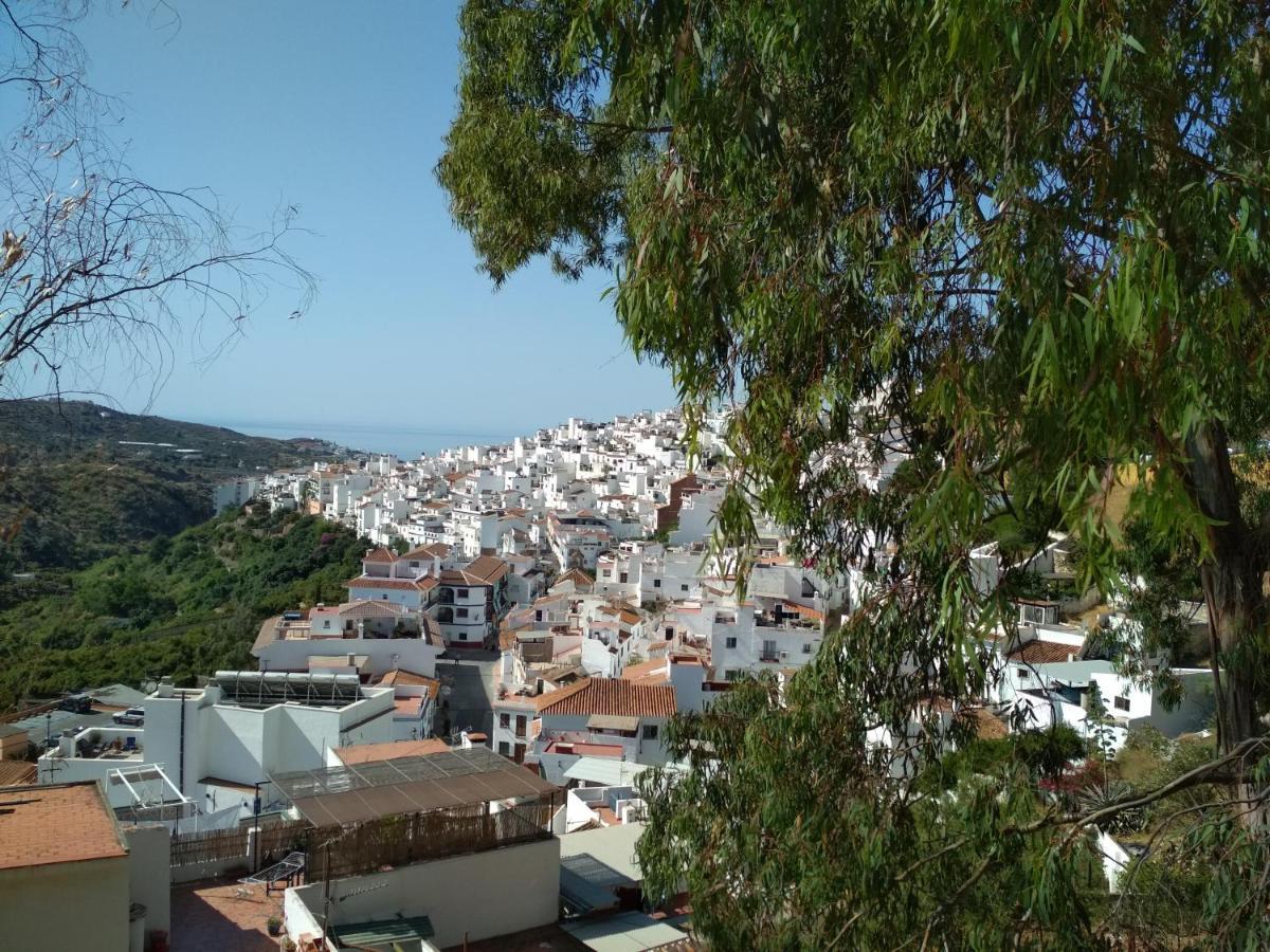 Villa Las Encinas Costa Del Sol Torrox Exteriör bild