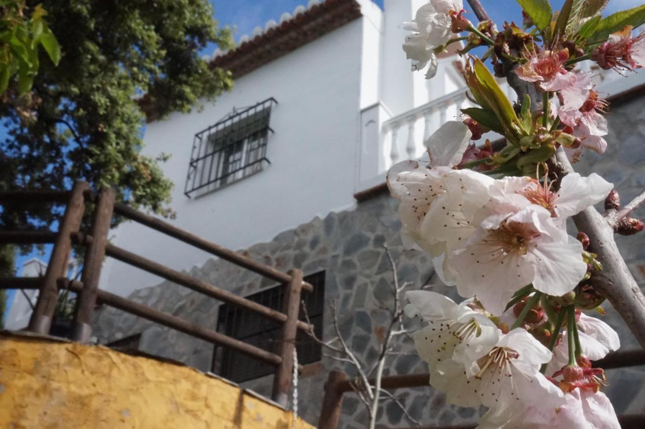 Villa Las Encinas Costa Del Sol Torrox Exteriör bild
